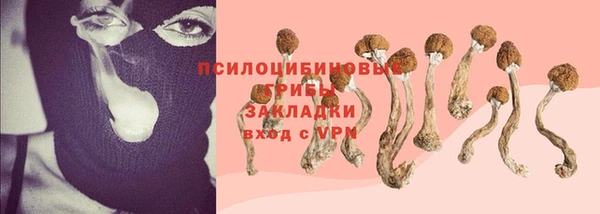 соль ск Корсаков