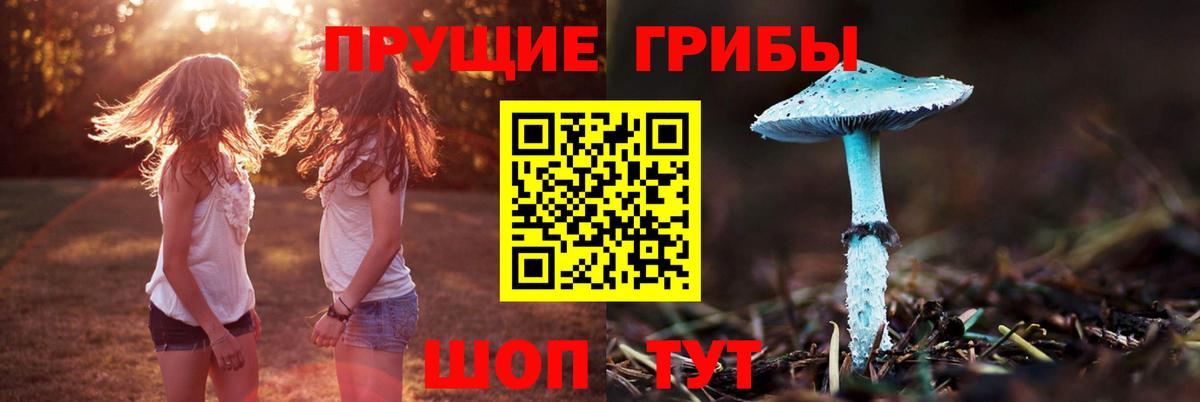 Галлюциногенные грибы прущие грибы Кувандык